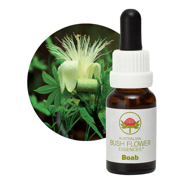 Australian Bush Flower Essences Boab 15ml - Cutprice Online
