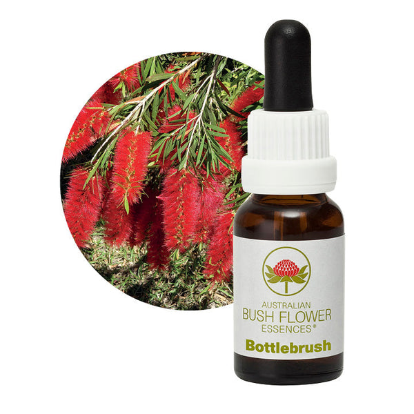 Australian Bush Flower Essences Bottlebrush 15ml - Cutprice Online