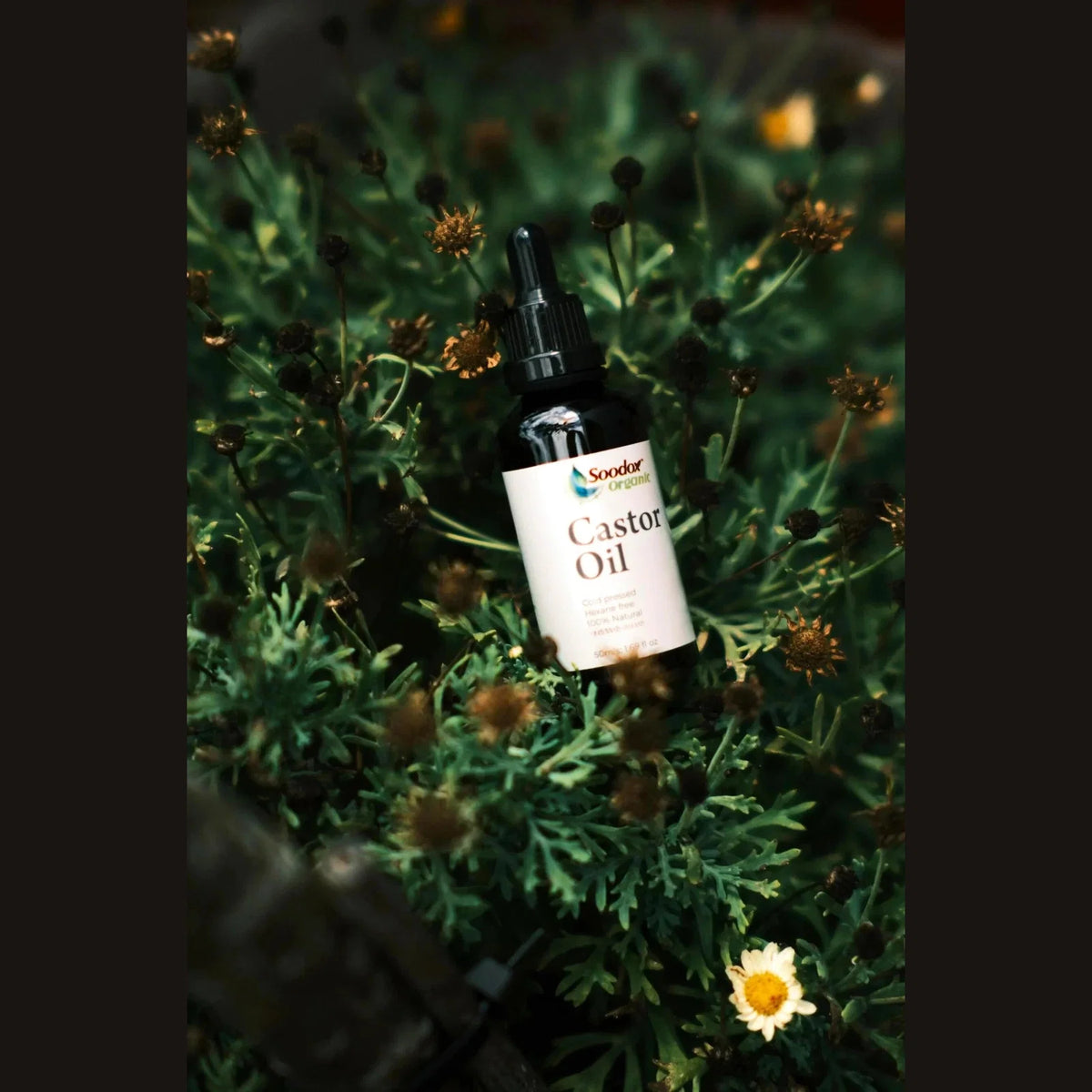 Soodox Organic Castor Oil 50ml