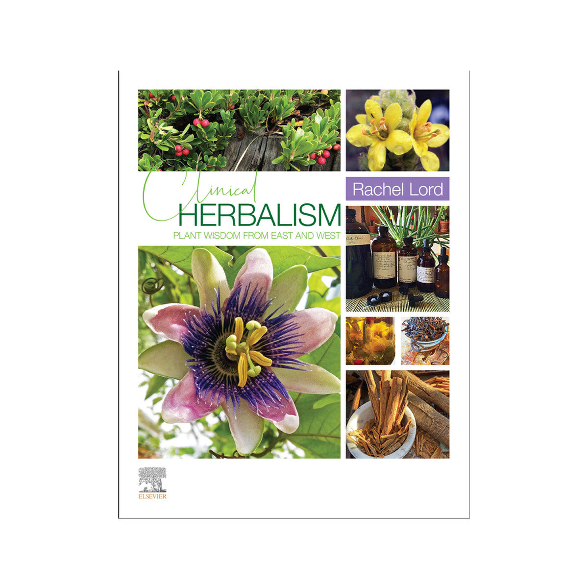 Clinical Herbalism Plant Wisdom From East and West by Rachel Lord - Cutprice Online