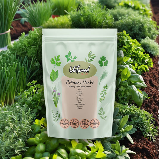 Untamed Health Culinary Herb Seeds 10Pk - Cutprice Online