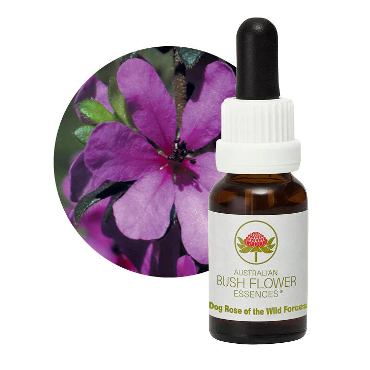 Australian Bush Flower Essences Dog Rose of Wild Forces 15ml - Cutprice Online