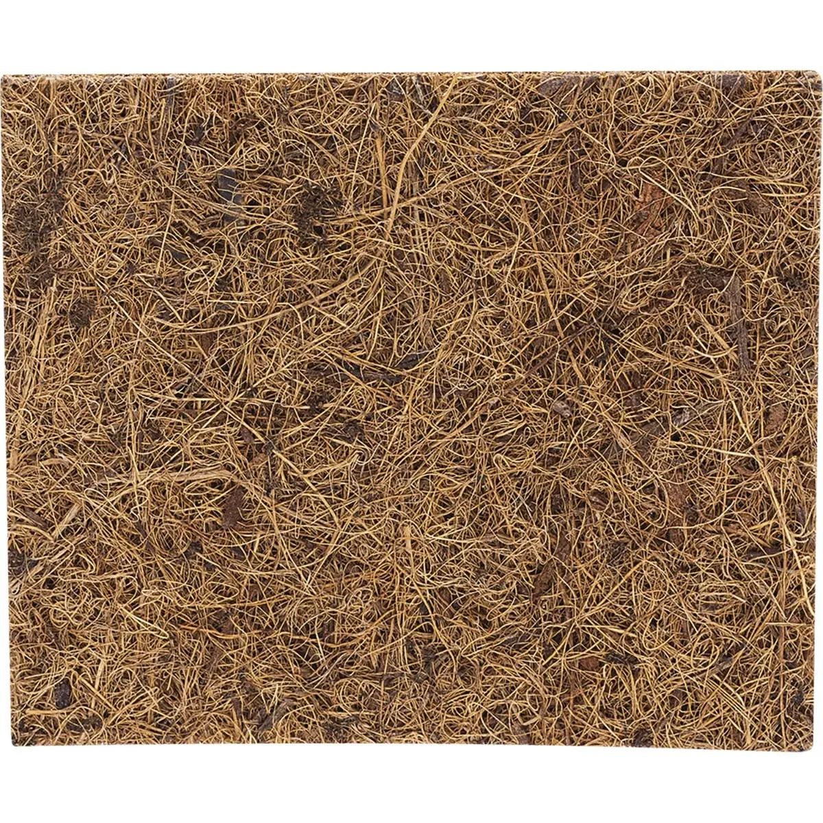 ECOCOCONUT Scourer Scrub Pad 2 ECOCOCONUT