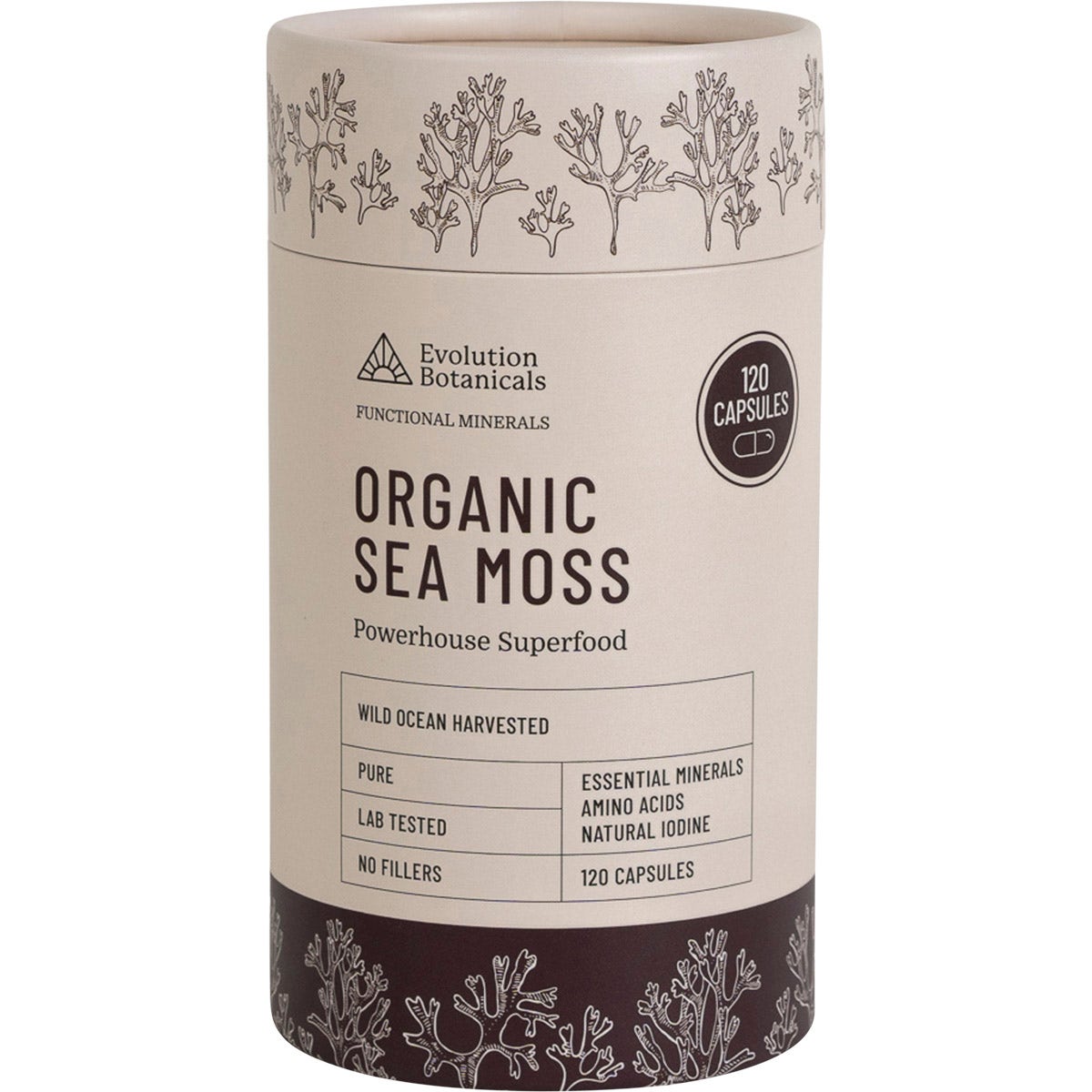 Evolution Botanicals Organic Sea Moss 120 Caps