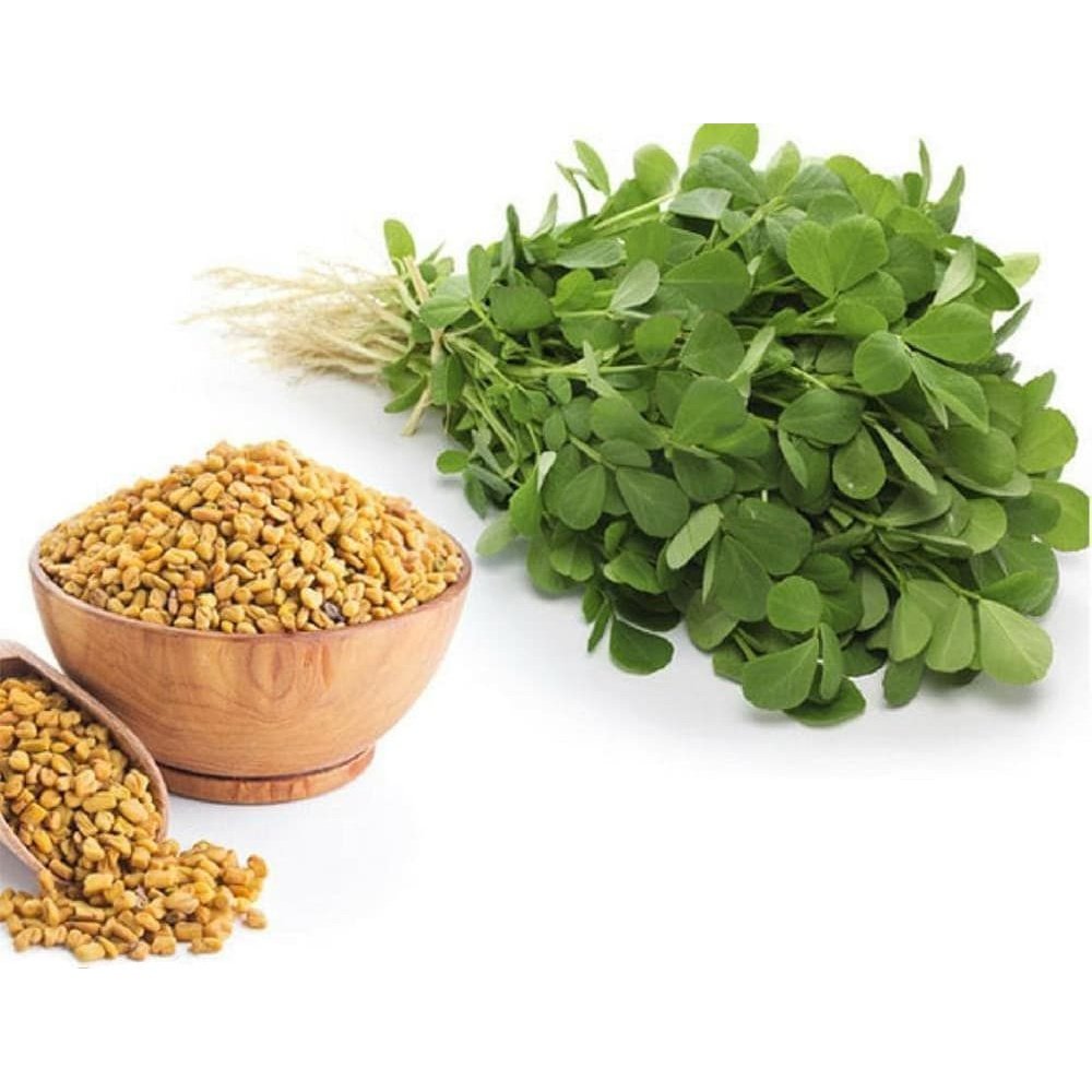 Nature's Own Fenugreek 1000mg for Breast Milk Production Support 60 Capsules - Cutprice Online