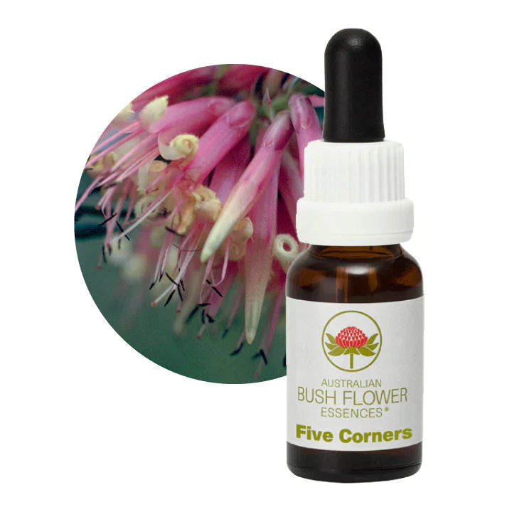 Australian Bush Flower Essences Five Corners 15ml - Cutprice Online