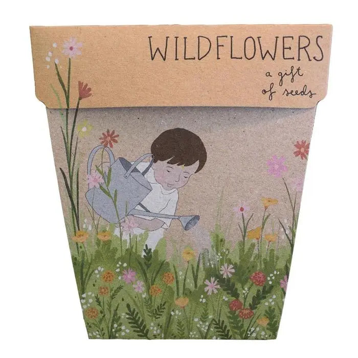 SOW 'N SOW Gift Of Seeds Wildflowers 1 SOW 'N SOW