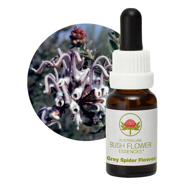Australian Bush Flower Essences Grey Spider Flower 15ml - Cutprice Online