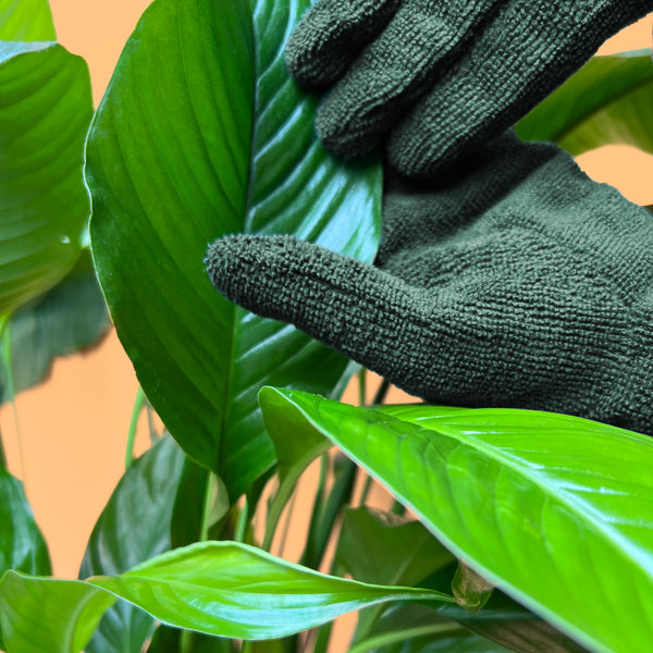 We The Wild Plant Care Leaf Cleaning Gloves - Cutprice Online