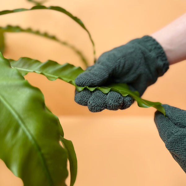 We The Wild Plant Care Leaf Cleaning Gloves - Cutprice Online