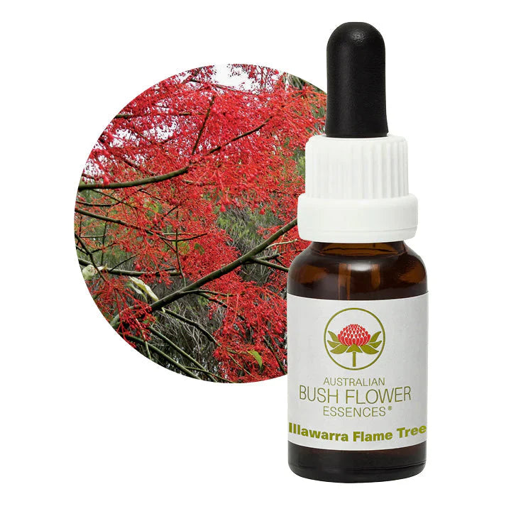 Australian Bush Flower Essences Illawarra Flame Tree 15ml - Cutprice Online