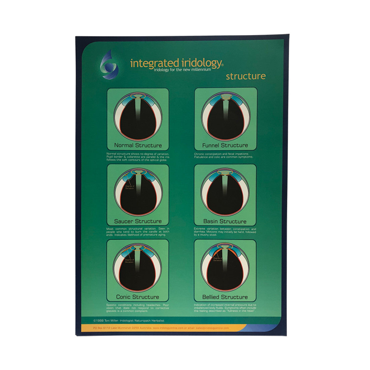 Integrated Iridology Poster Chart Structure - Cutprice Online