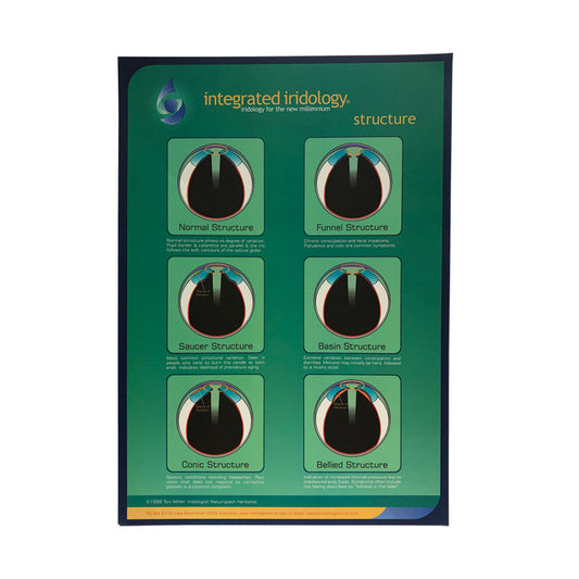 Integrated Iridology Poster Chart Structure - Cutprice Online