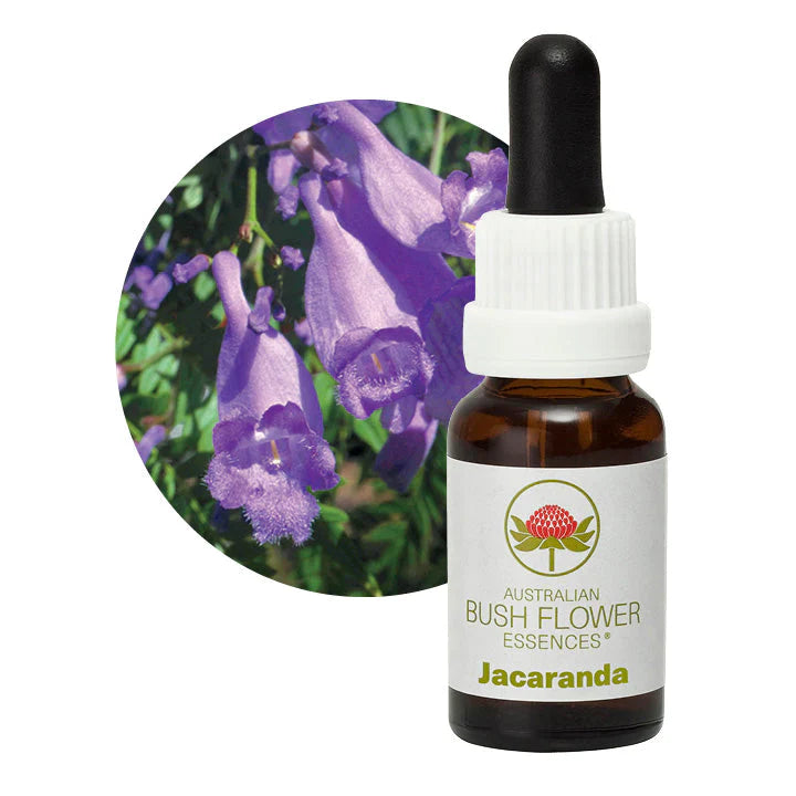 Australian Bush Flower Essences Jacaranda 15ml - Cutprice Online