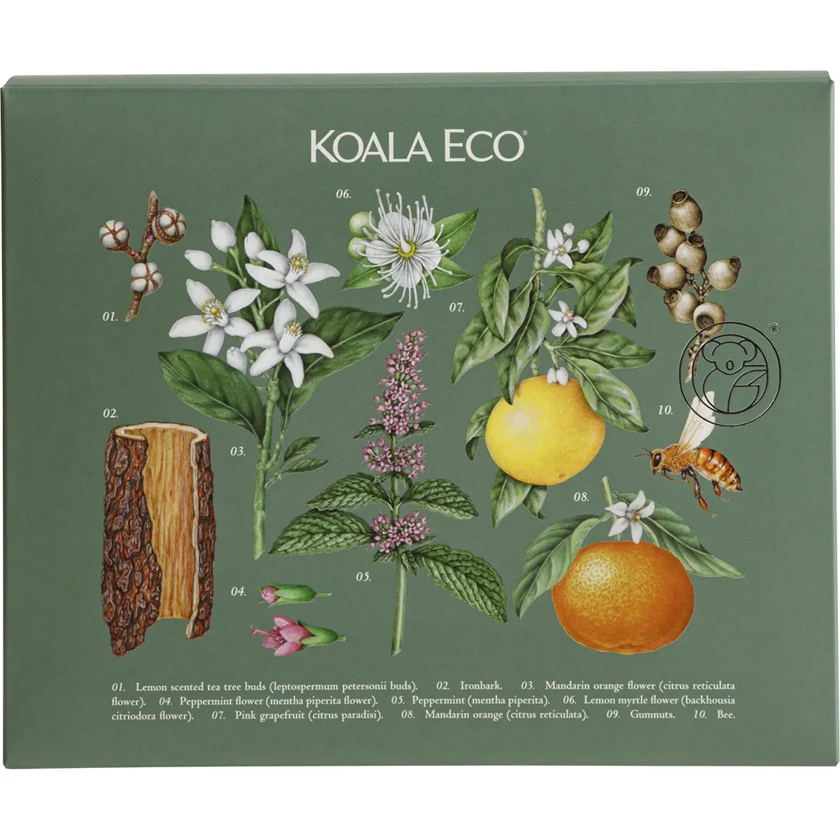 Koala Eco Gift Pack - Hand Wash, Laundry Wash & Dish Soap 3 KOALA ECO