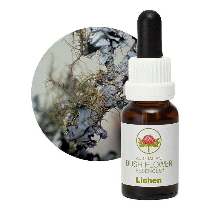 Australian Bush Flower Essences Lichen 15ml - Cutprice Online