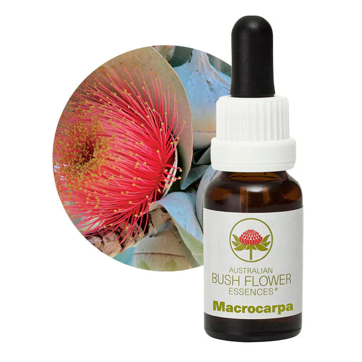 Australian Bush Flower Essences Macrocarpa 15ml - Cutprice Online