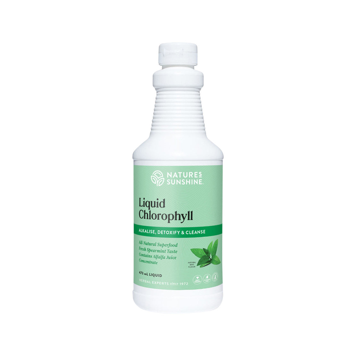 Nature's Sunshine Liquid Chlorophyll Oral Liquid 473ml - Cutprice Online
