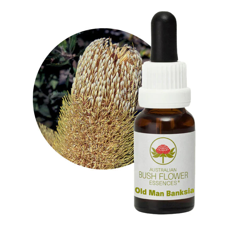 Australian Bush Flower Essences Old Man Banksia 15ml - Cutprice Online
