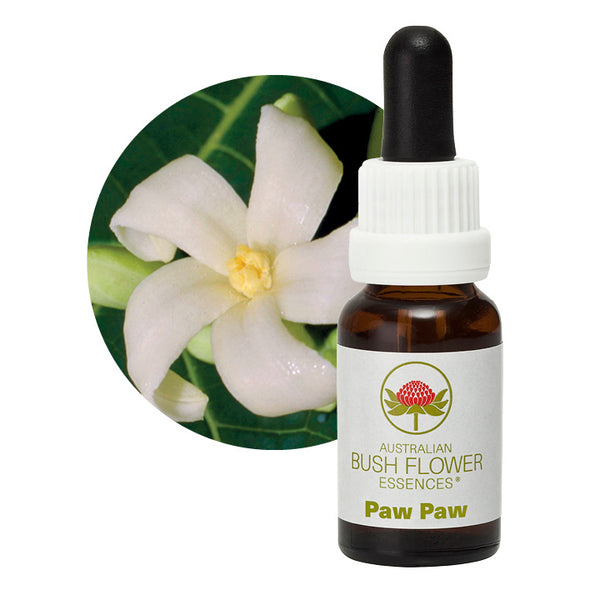 Australian Bush Flower Essences Paw Paw 15ml - Cutprice Online