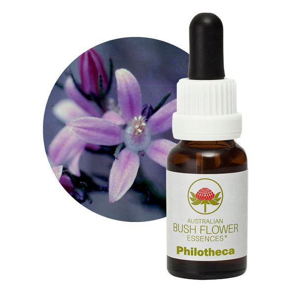 Australian Bush Flower Essences Philotheca 15ml - Cutprice Online