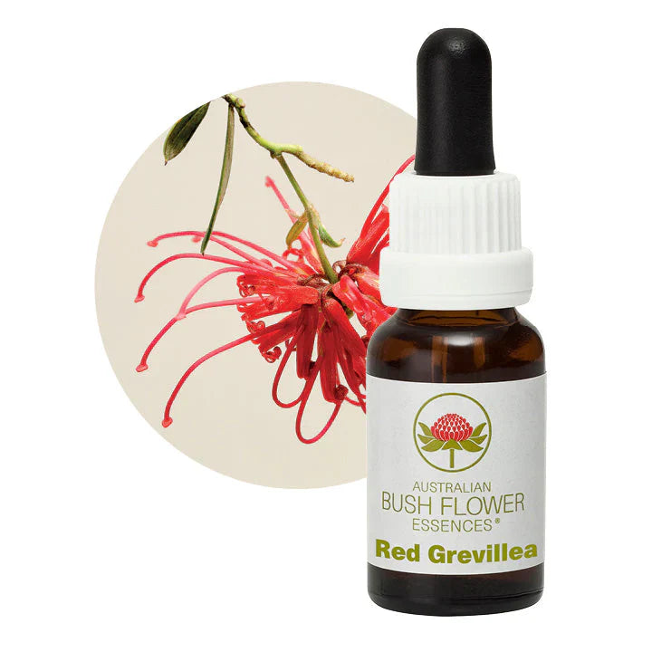 Australian Bush Flower Essences Red Grevillea 15ml - Cutprice Online