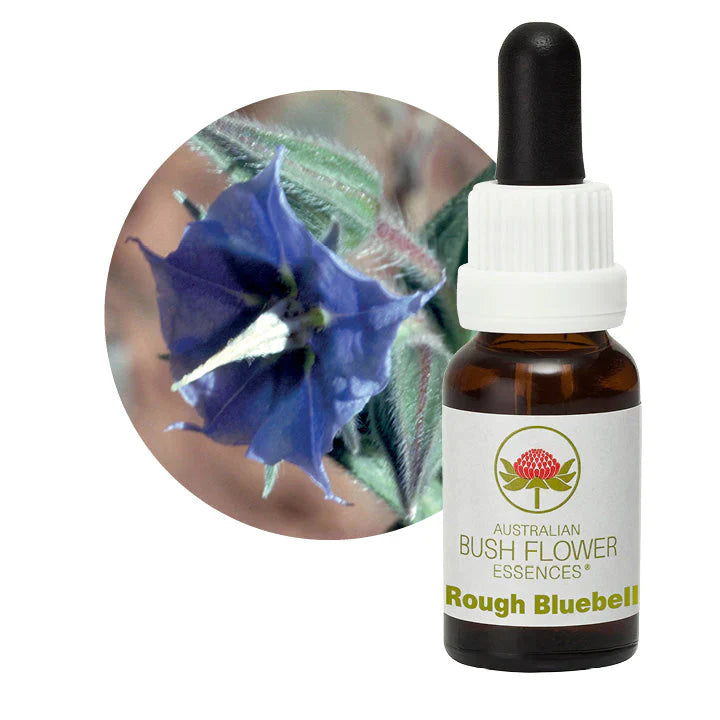 Australian Bush Flower Essences Rough Bluebell 15ml - Cutprice Online