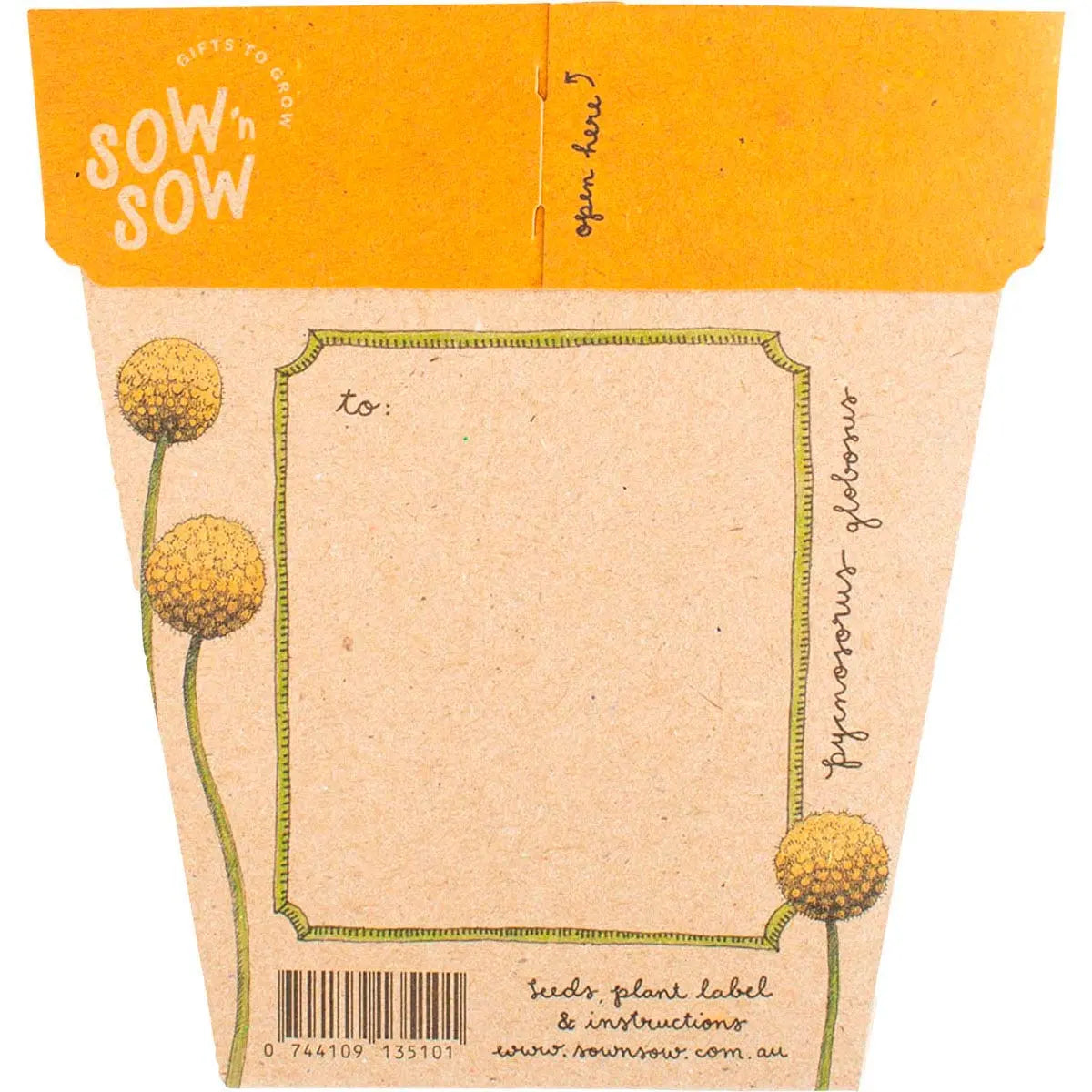 SOW 'N SOW Gift Of Seeds Billy Buttons 1 SOW 'N SOW