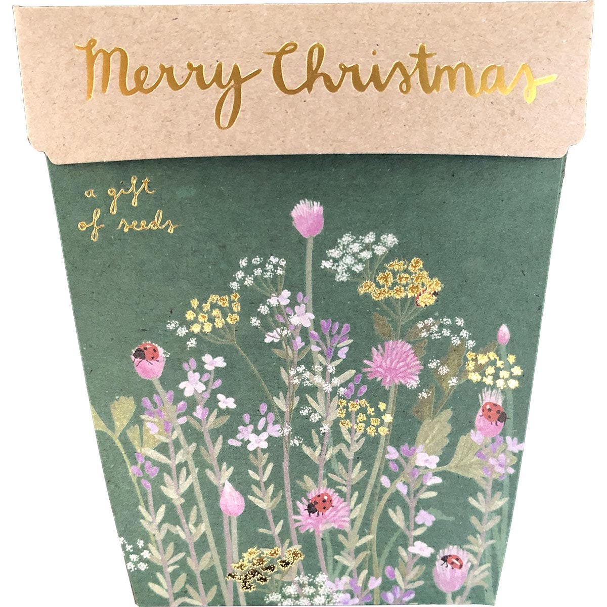 SOW 'N SOW Gift of Seeds Merry Christmas 1 - Cutprice Online