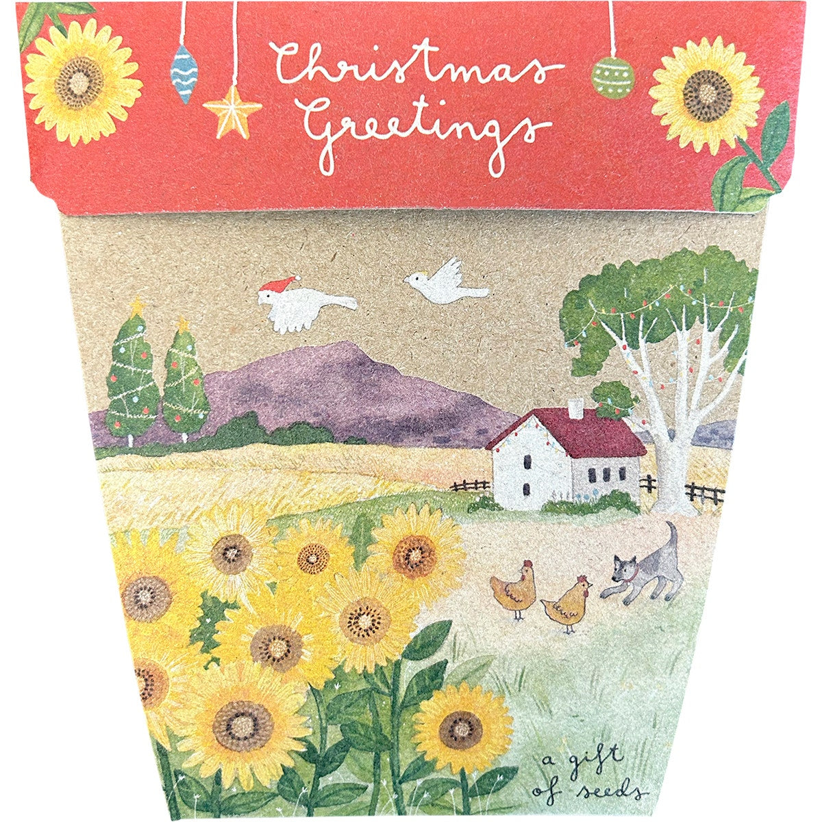 Sow 'n Sow Gift Of Seeds Christmas Sunflowers 1 Each