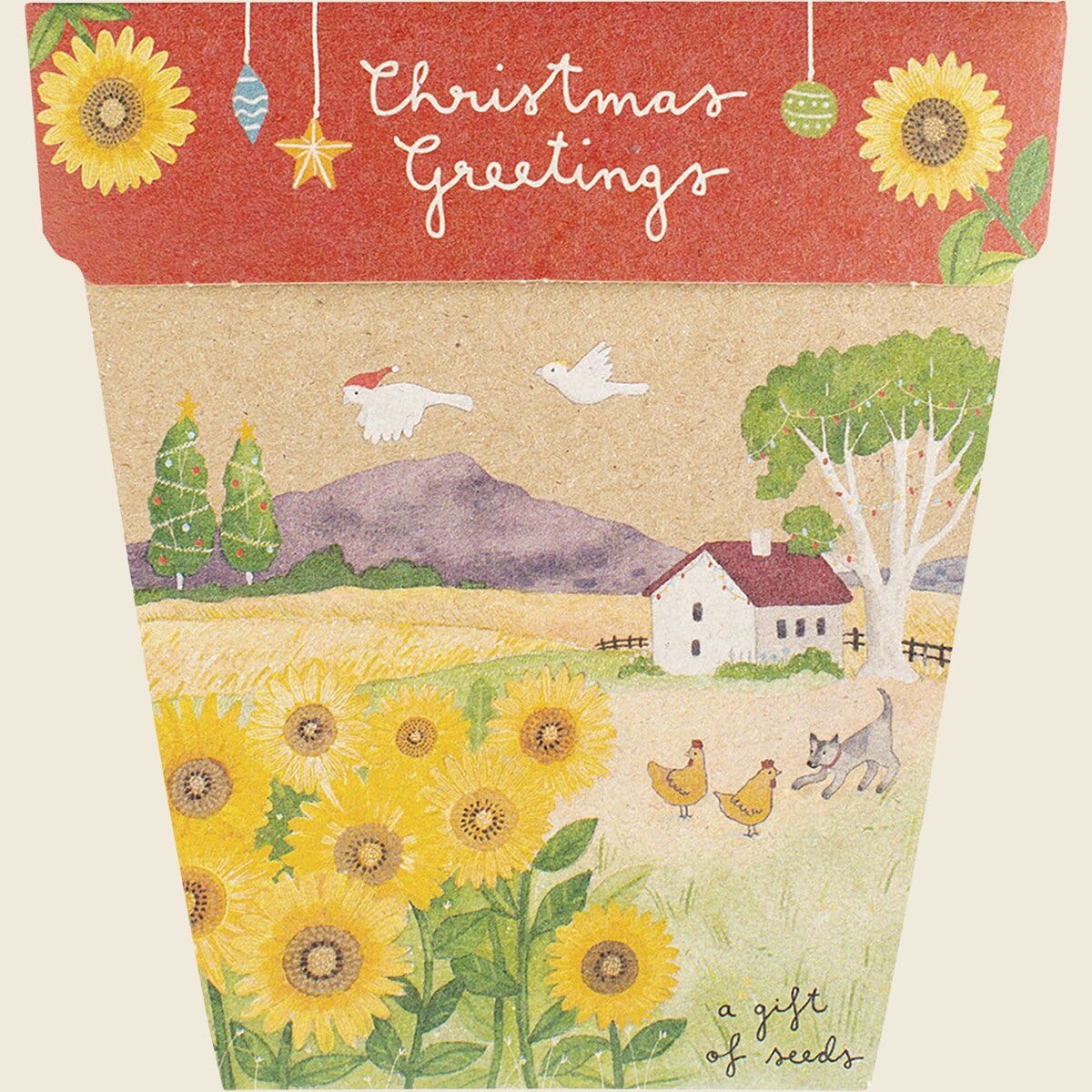 Sow 'n Sow Gift Of Seeds Christmas Sunflowers 1 Each