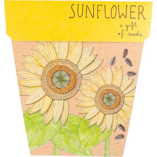 SOW 'N SOW Gift Of Seeds Sunflower 1 SOW 'N SOW