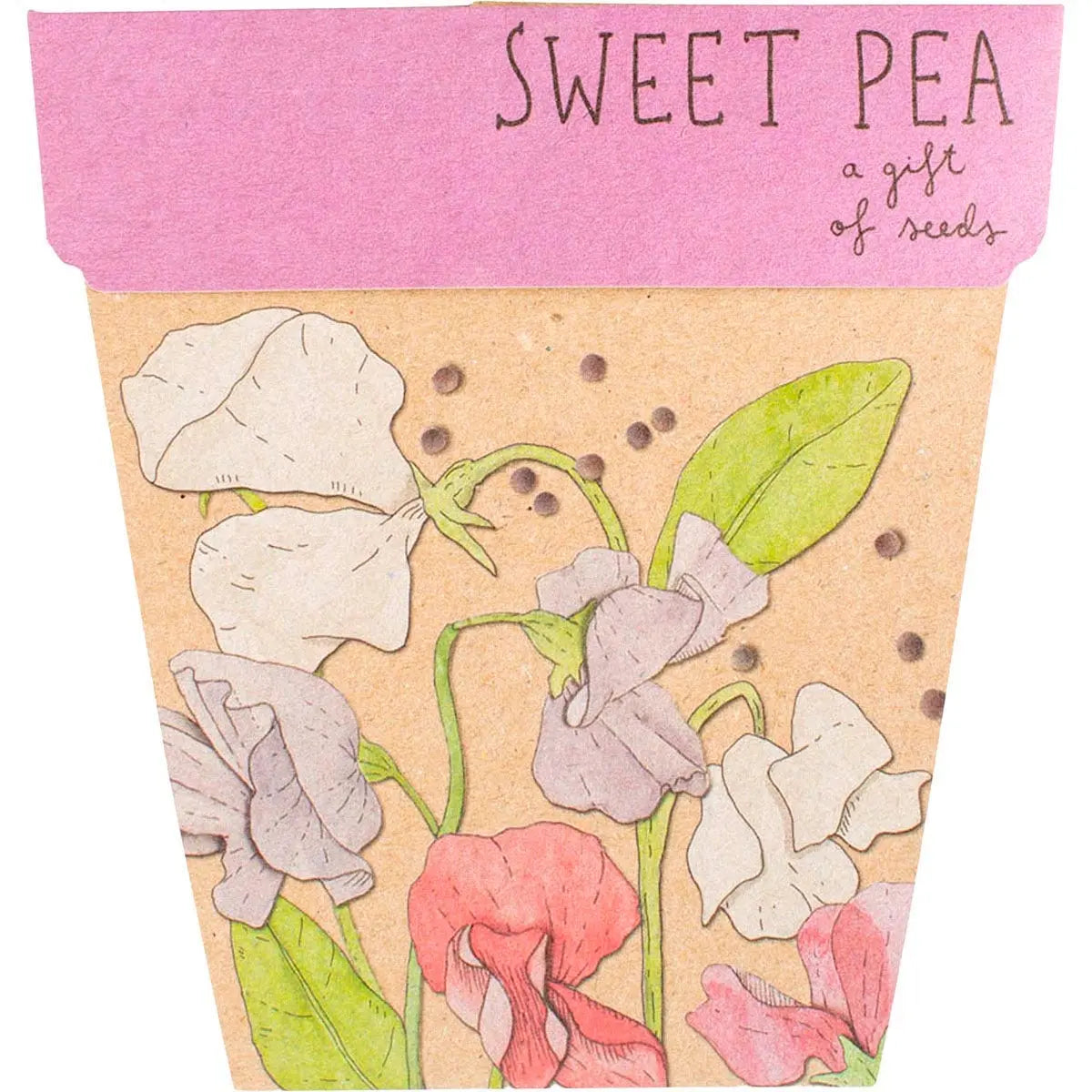 SOW 'N SOW Gift Of Seeds Sweet Pea 1 SOW 'N SOW