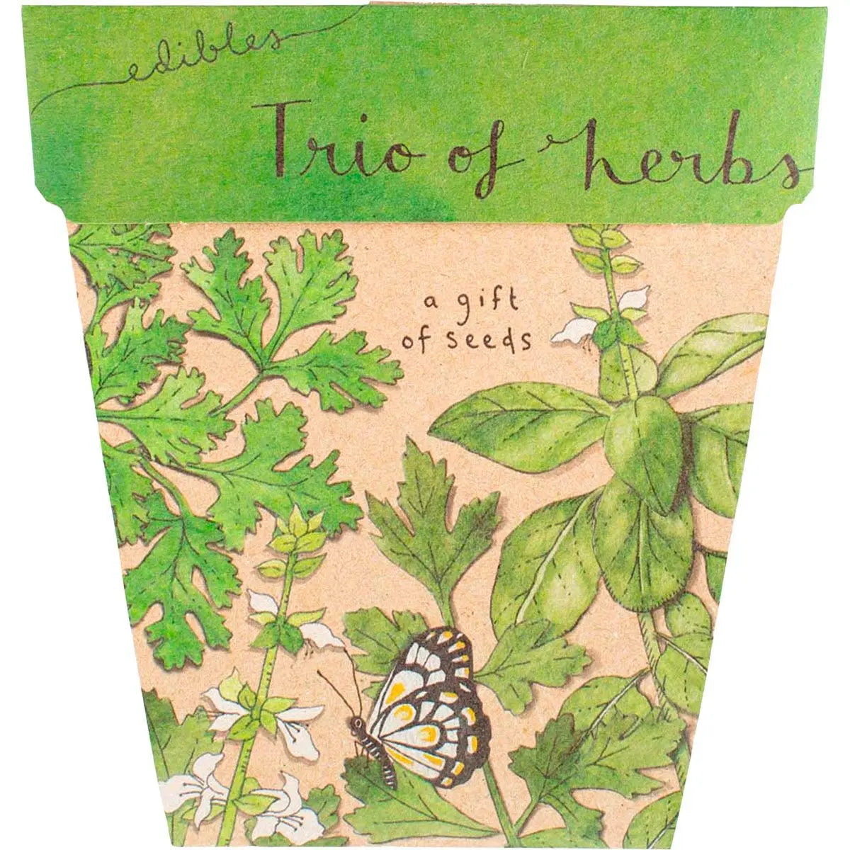 SOW 'N SOW Gift Of Seeds Trio Of Herbs 1 SOW 'N SOW