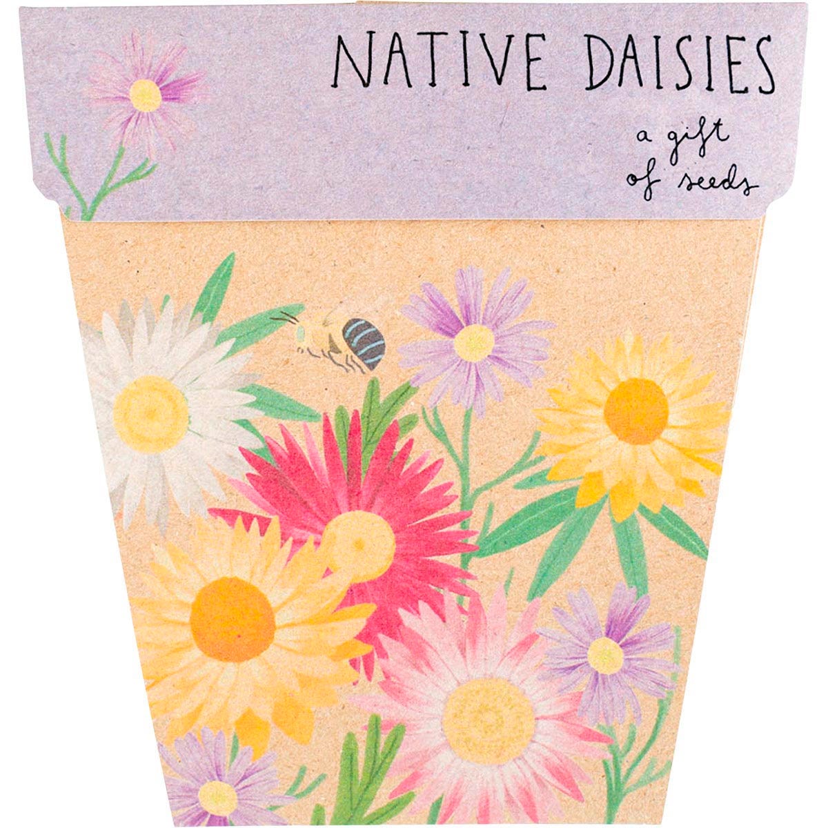 Sow 'n Sow Gift of Seeds Daisies Native - Cutprice Online
