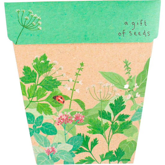 Sow 'n Sow Gift of Seeds Garden Herbs - Cutprice Online