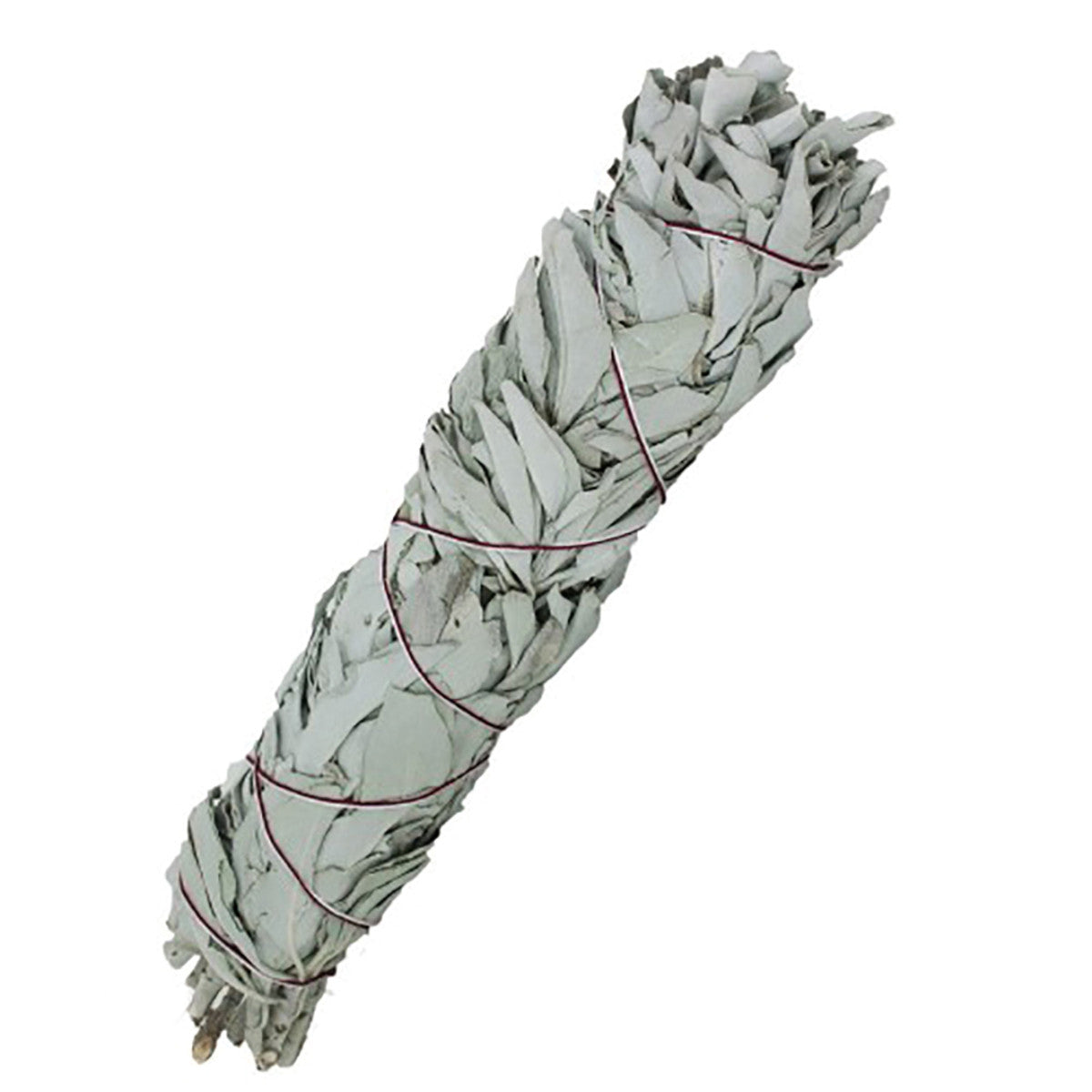 SaltCo Organic Smudge Stick Californian White Sage 14cm - Cutprice Online