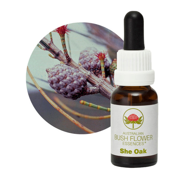 Australian Bush Flower Essences She Oak 15ml - Cutprice Online
