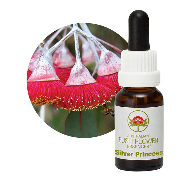 Australian Bush Flower Essences Silver Princess 15ml - Cutprice Online