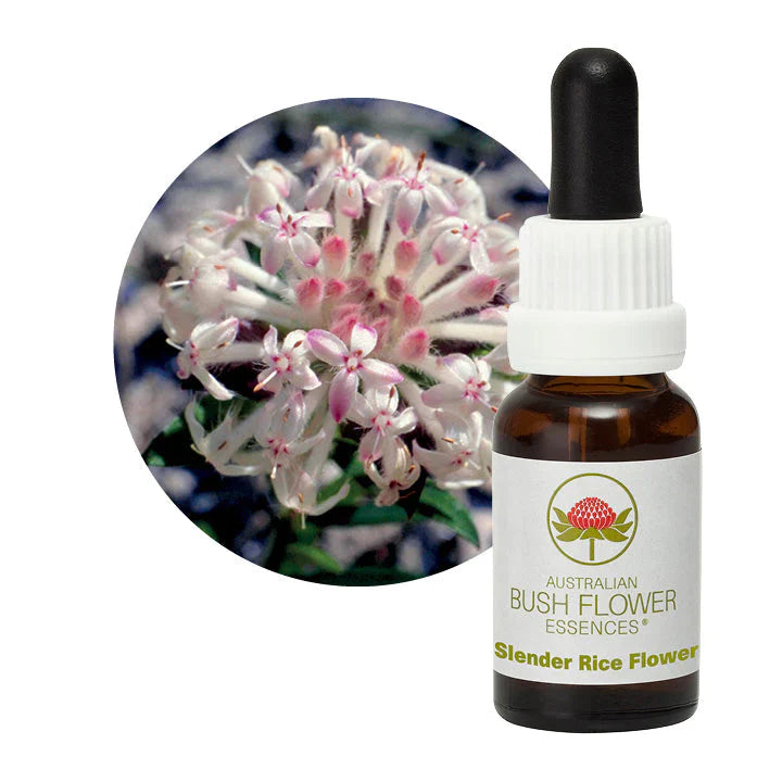 Australian Bush Flower Essences Slender Rice Flower 15ml - Cutprice Online