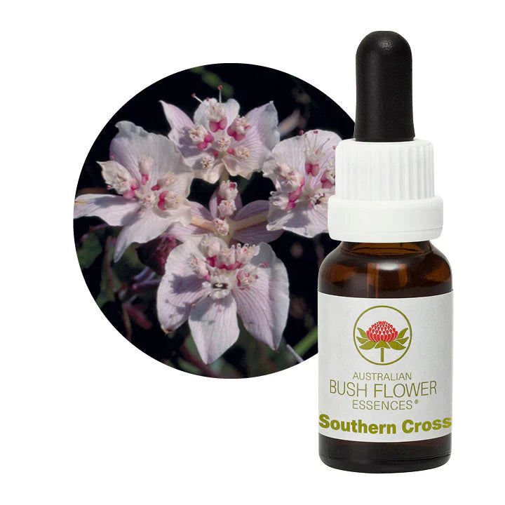 Australian Bush Flower Essences Southern Cross 15ml - Cutprice Online