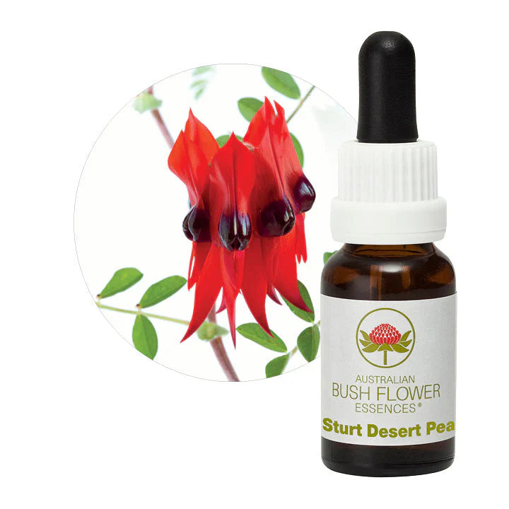 Australian Bush Flower Essences Sturt Desert Pea 15ml - Cutprice Online