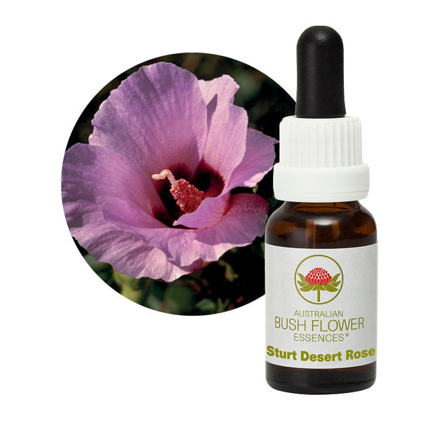 Australian Bush Flower Essences Sturt Desert Rose 15ml - Cutprice Online