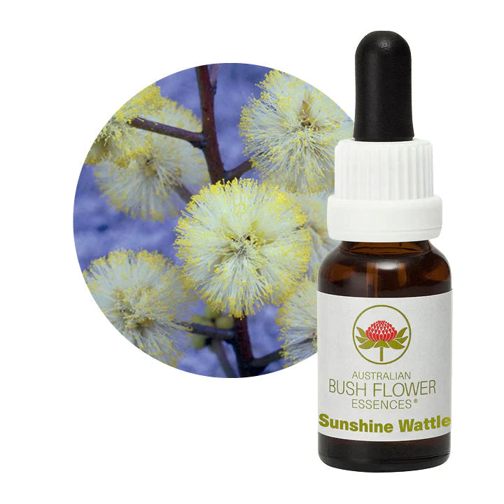 Australian Bush Flower Essences Sunshine Wattle 15ml - Cutprice Online