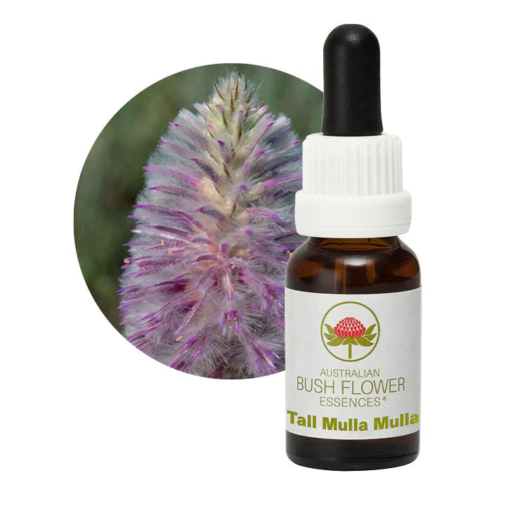Australian Bush Flower Essences Tall Mulla Mulla 15ml - Cutprice Online