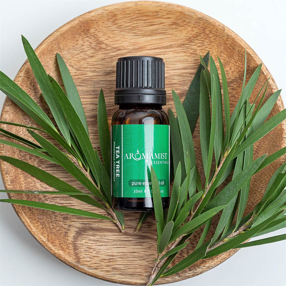 Aromamist Essentials Pure Essential Oil Tea Tree 10ml - Cutprice Online