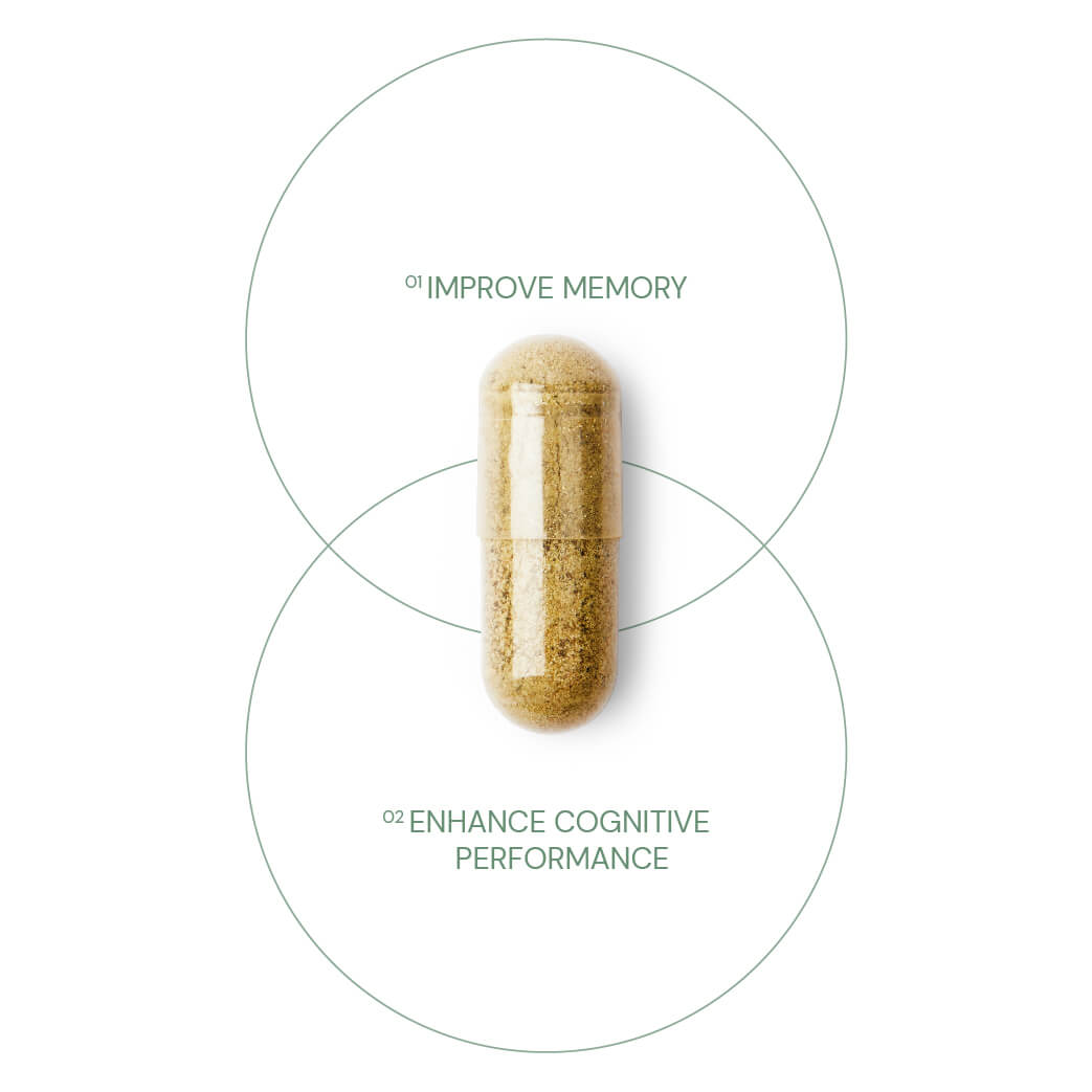 Ultra Nature Memory & Cognition Boost 60 Capsules