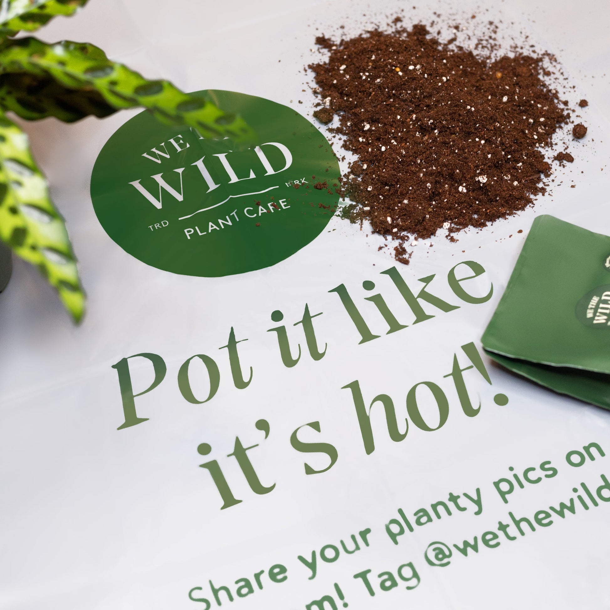 We The Wild Plant Care Organic Repotting Mat x 2 Pack - Cutprice Online