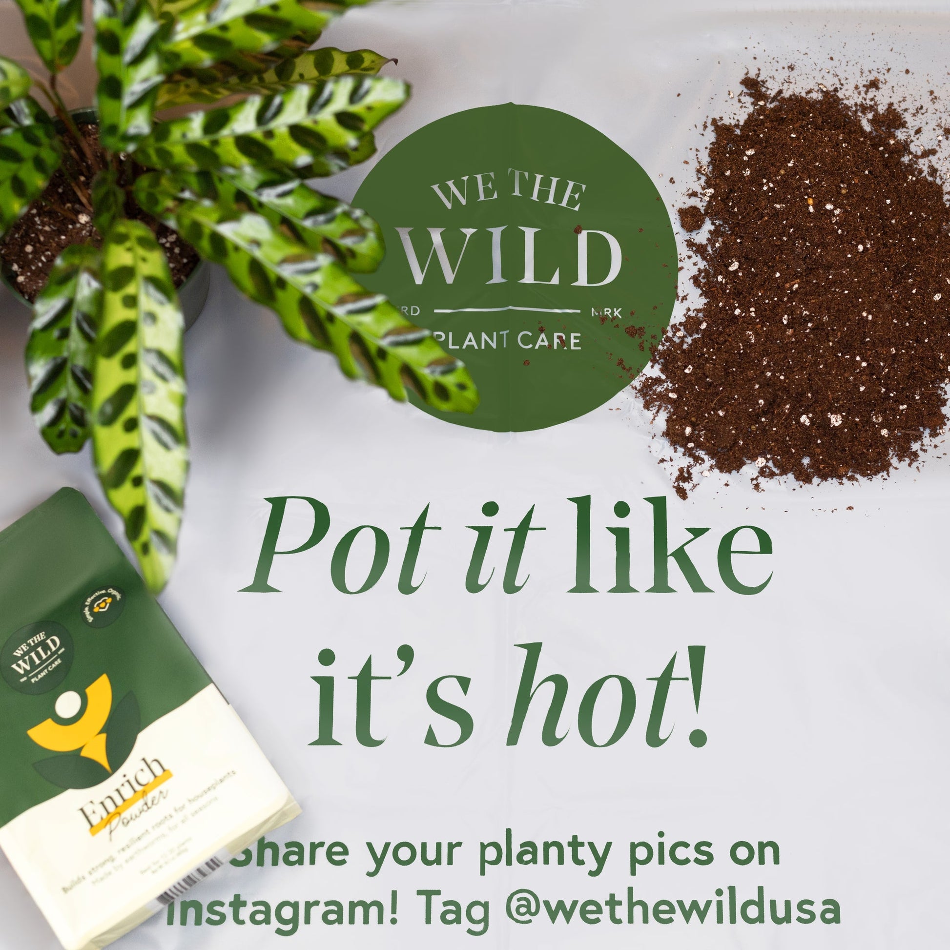 We The Wild Plant Care Organic Repotting Mat x 2 Pack - Cutprice Online