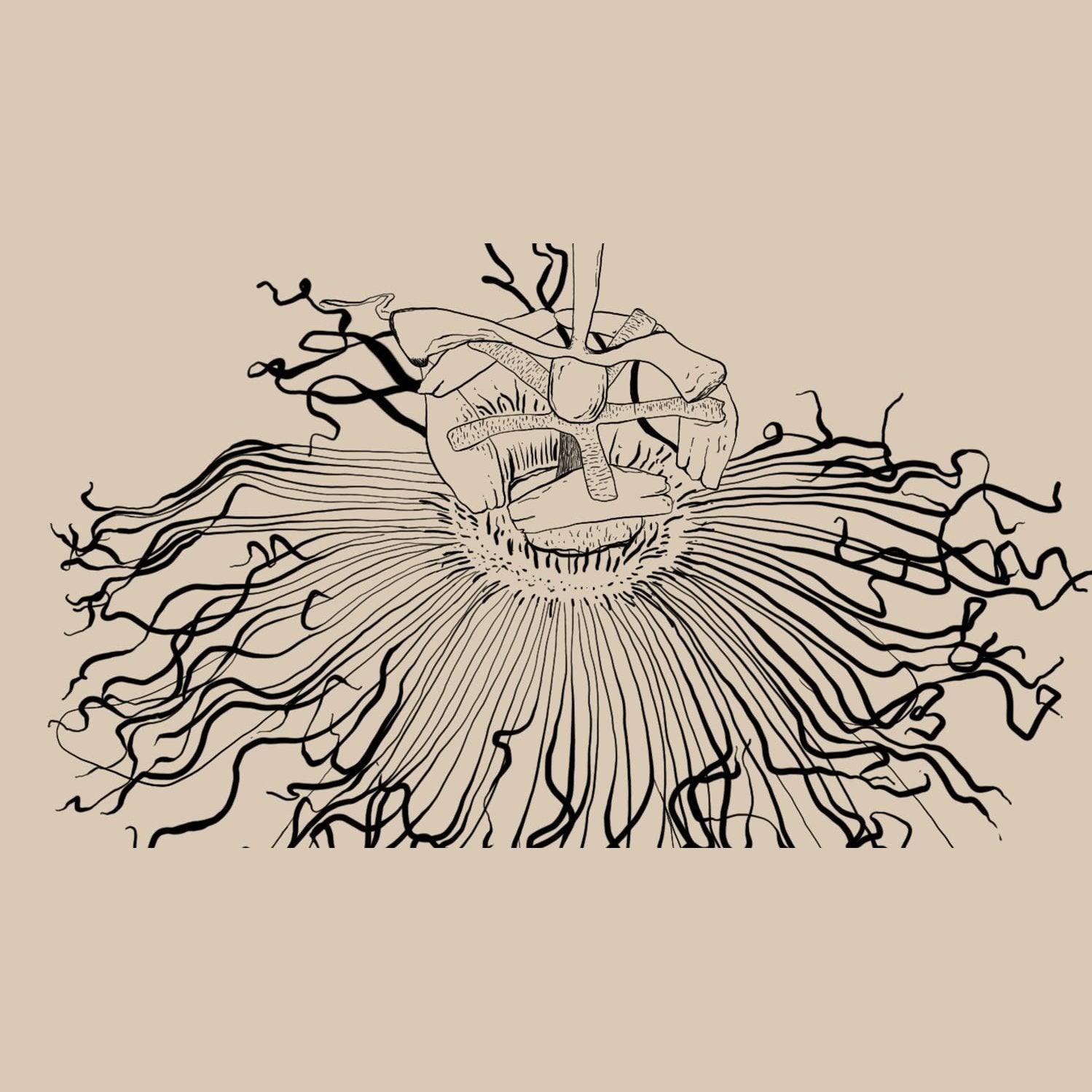 WANDERLUST SOULFUL SLEEP 30 CAPS - Cutprice Online